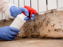 Asbestos and Lead Testing During Mold Inspection in Saratoga, CA